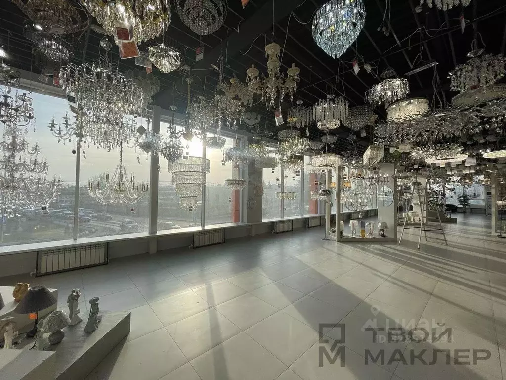 Торговая площадь в Пензенская область, Пенза ул. Измайлова, 28Д (810 ... - Фото 1