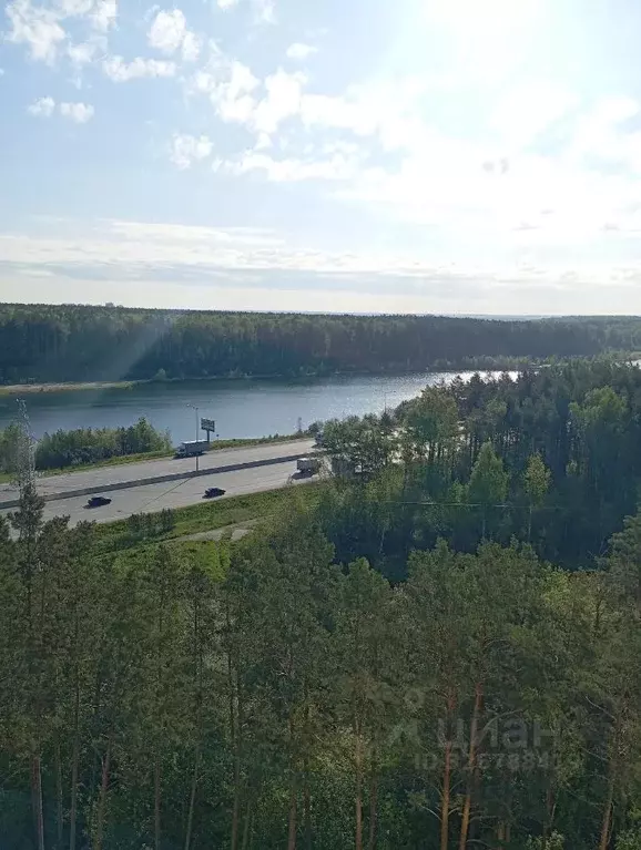 2-к кв. Свердловская область, Екатеринбург Уктус жилрайон, Светлый ... - Фото 2