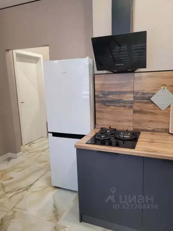 1-к кв. Псковская область, Псковский район, Завеличенская волость, д. ... - Фото 2