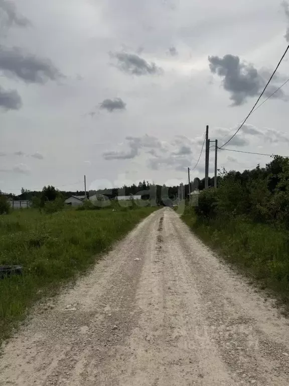 Участок в Тульская область, Тула городской округ, с. Архангельское ул. ... - Фото 2