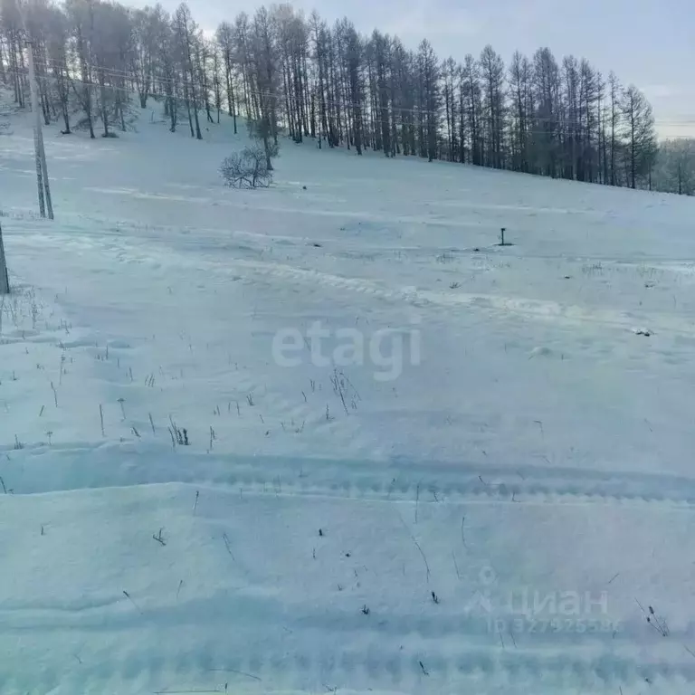 Участок в Алтай, Шебалинский район, с. Шебалино ул. Спортивная, 2А ... - Фото 1