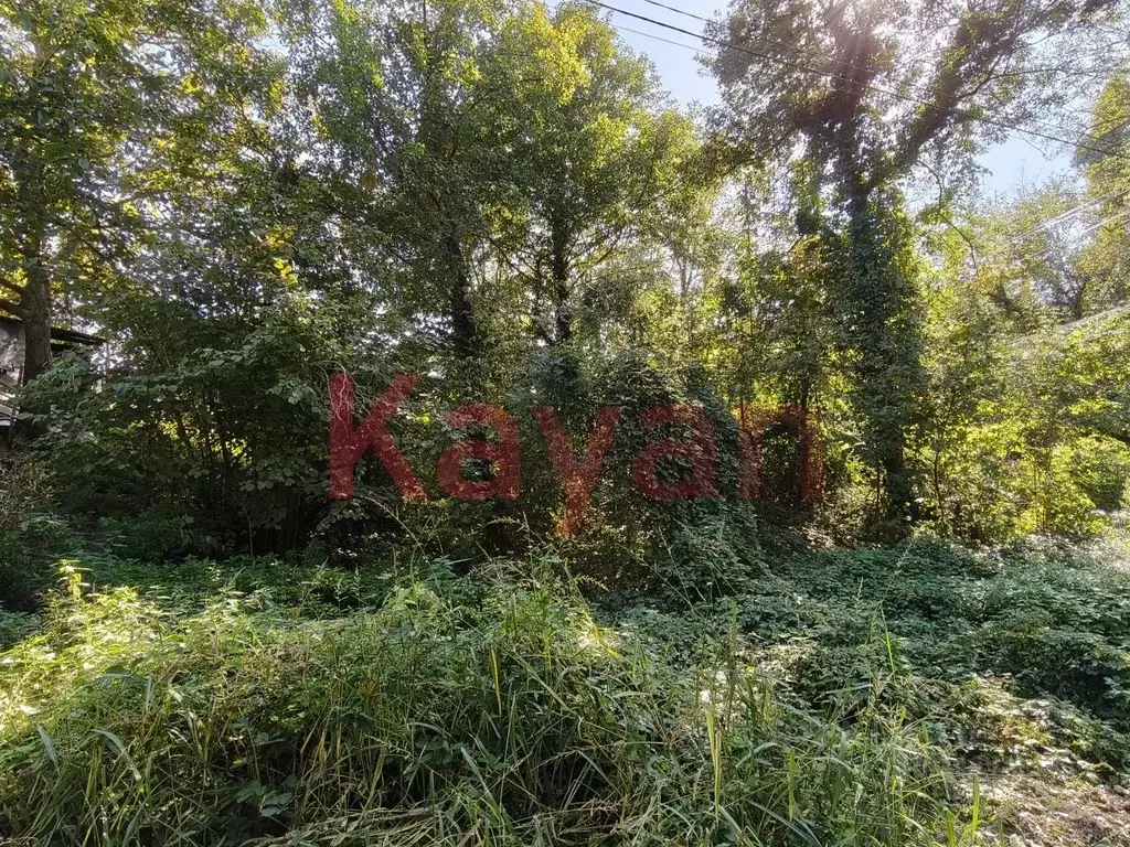 Участок в Краснодарский край, Геленджик городской округ, с. Береговое ... - Фото 2