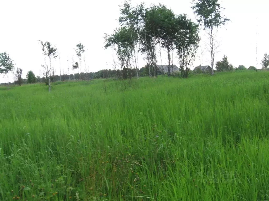Участок в Калужская область, Малоярославецкий муниципальный округ, ... - Фото 1