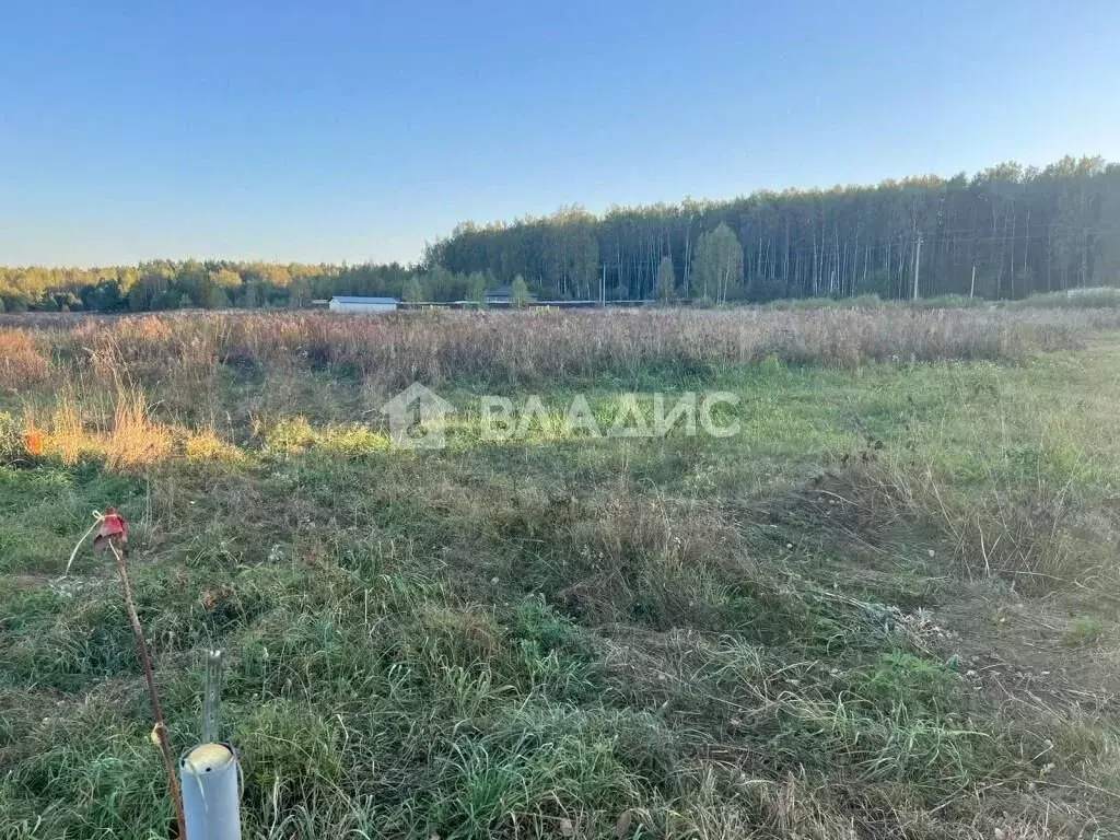 Участок в Владимирская область, Судогодский район, Лавровское ... - Фото 0