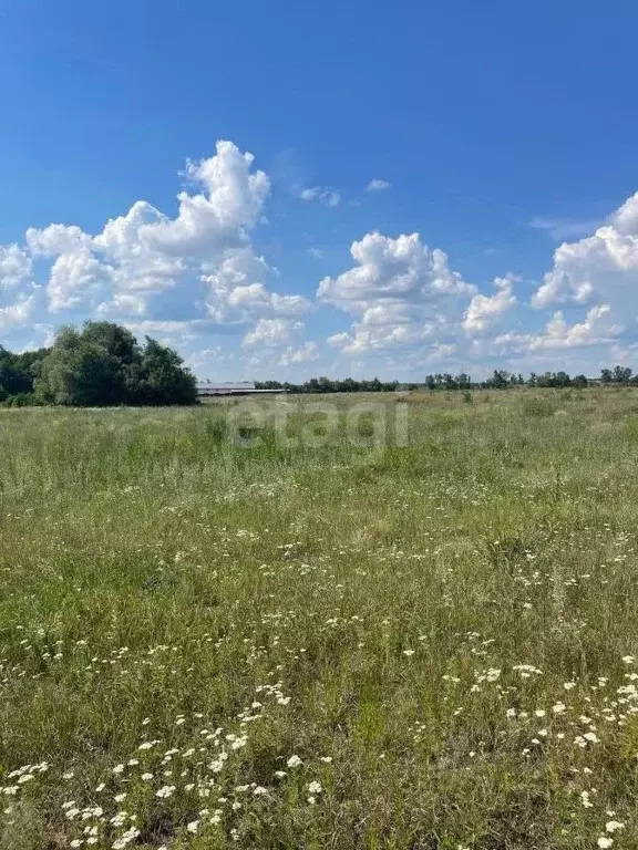 Участок в Белгородская область, Старооскольский городской округ, с. ... - Фото 0