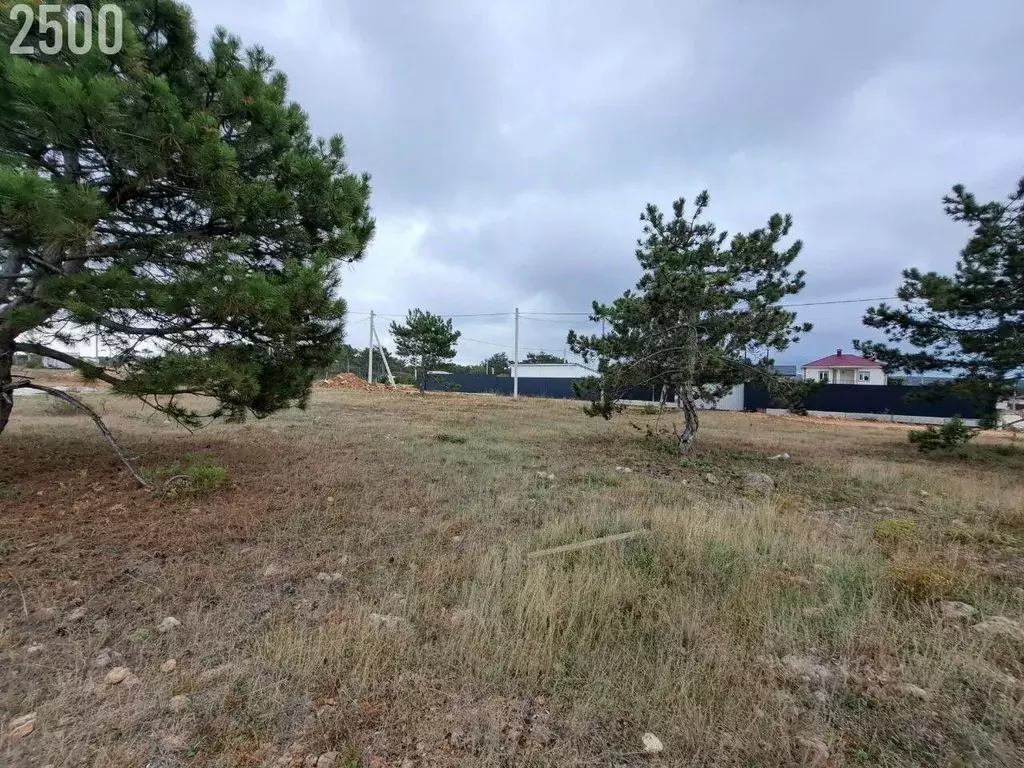 Участок в Севастополь Янтарь садоводческое товарищество,  (8.1 сот.) - Фото 2