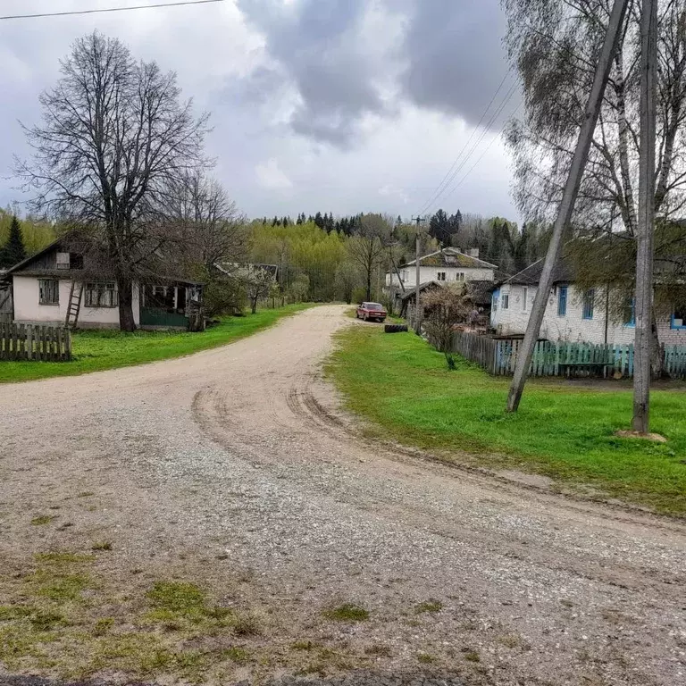 Участок в Новгородская область, Демянский муниципальный округ, д. ... - Фото 1