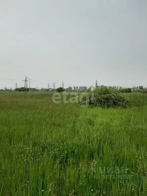 Участок в Амурская область, Благовещенский район, с. Волково  (14.0 ... - Фото 0