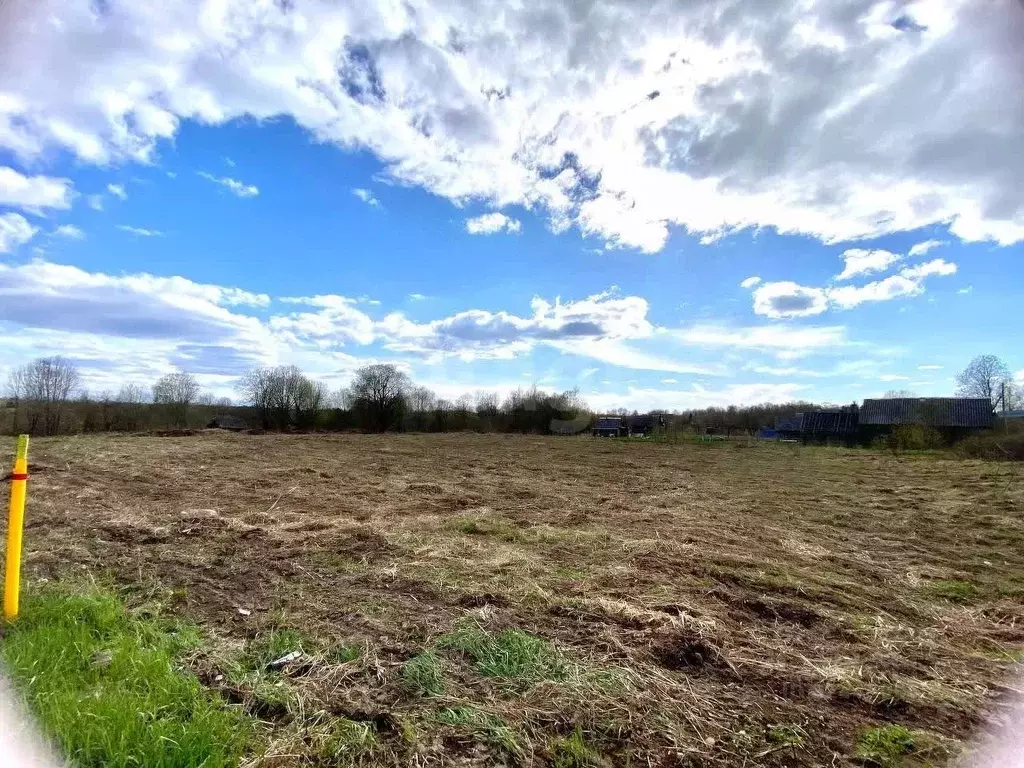 Участок в Ленинградская область, Волховский район, Усадищенское с/пос, ... - Фото 1
