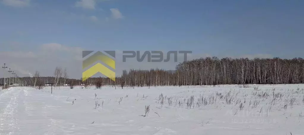 Участок в Омская область, Омский район муниципальный округ, с. ... - Фото 1