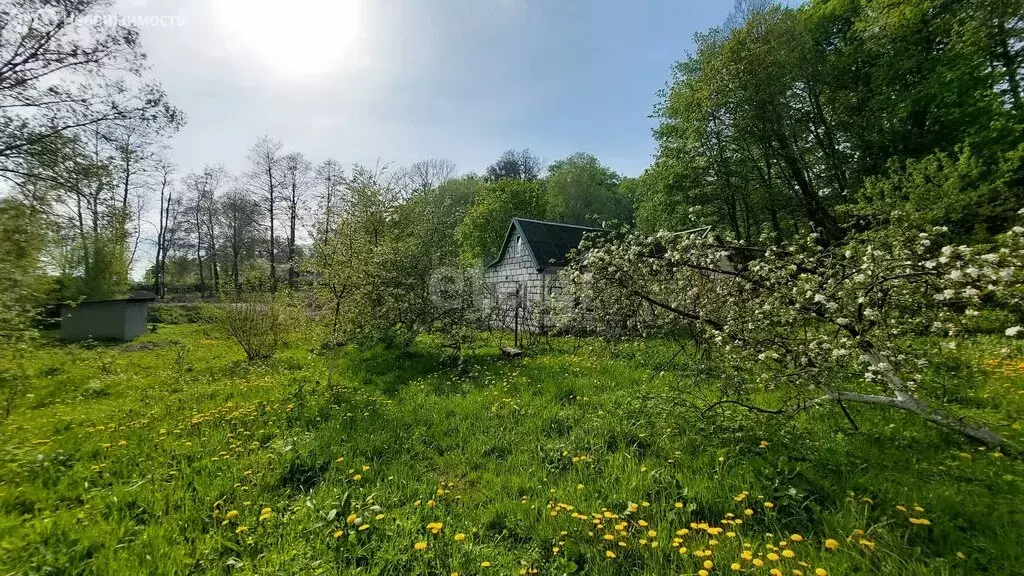 Участок в посёлок Родники, Набережная улица (13 м) - Фото 0