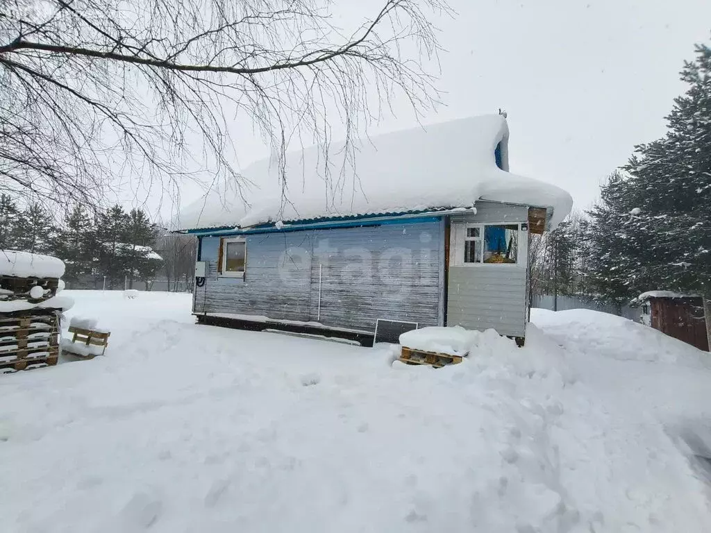 Дом в Архангельская область, Приморский муниципальный округ, ... - Фото 1