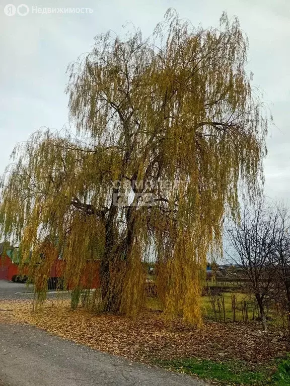Участок в Липецкая область, село Доброе (19 м) - Фото 1