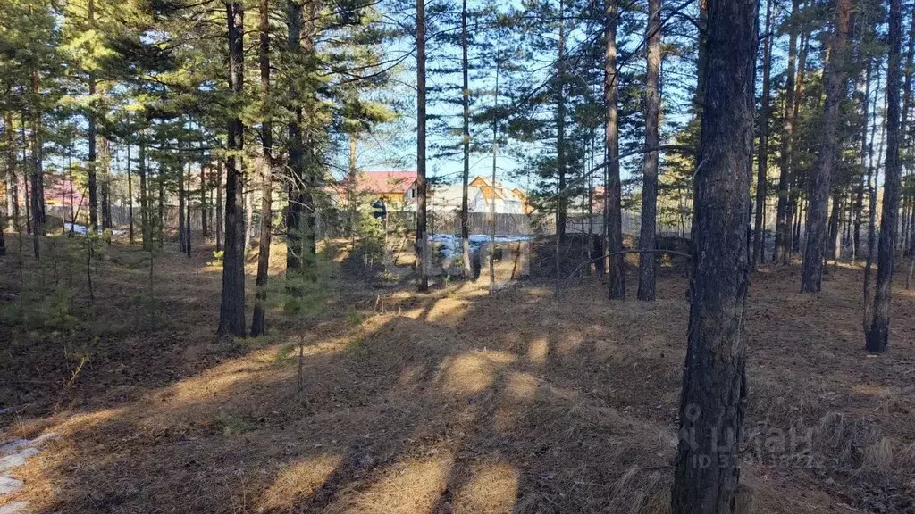Участок в Бурятия, Улан-Удэ Местность тх,  (6.0 сот.) - Фото 0
