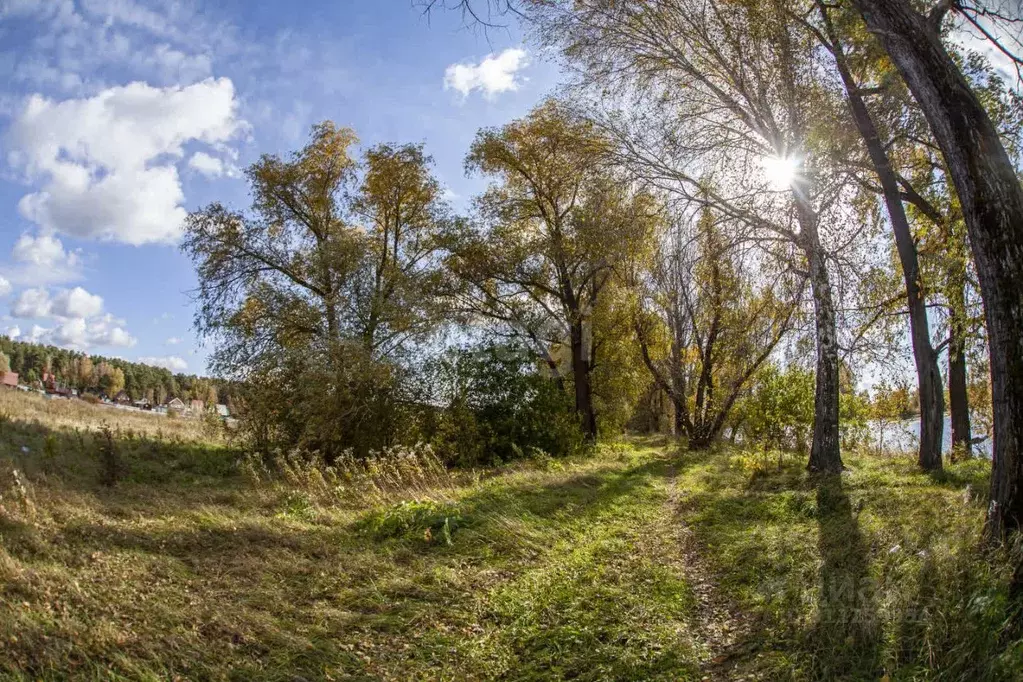 Участок в Новосибирская область, Новосибирский район, Кудряшовский ... - Фото 1