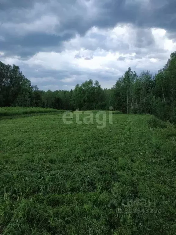 Участок в Коми, Сыктывдинский район, Шошка муниципальное образование, ... - Фото 1