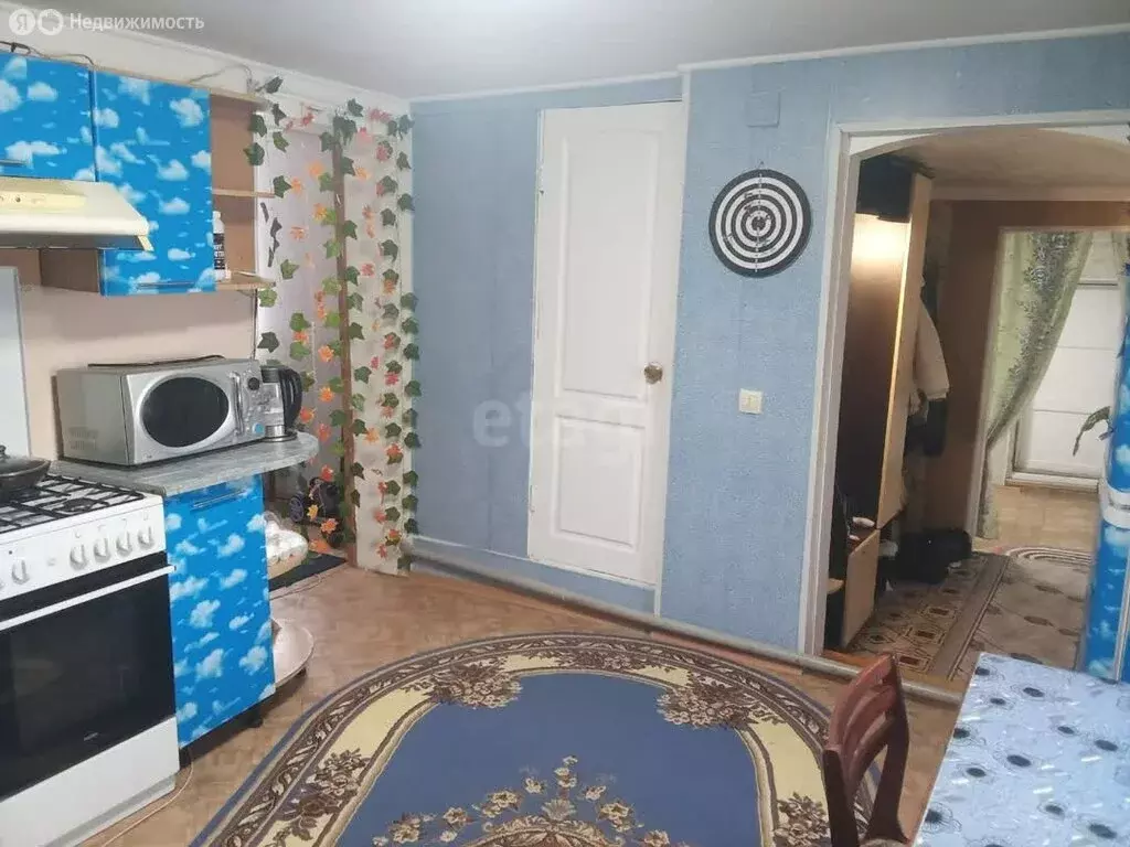 Дом в Чайковский городской округ, деревня Ольховочка, Красная улица ... - Фото 2