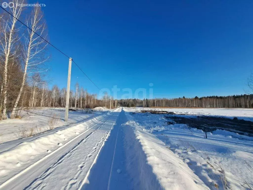 Участок в Нижнетавдинский район, садоводческое некоммерческое ... - Фото 1