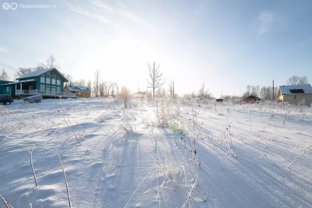 Участок в Морозовский сельсовет, СПК Успех (10 м) - Фото 1