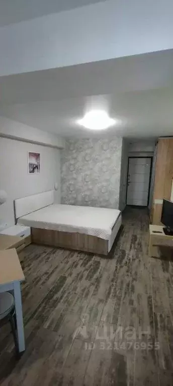 Студия Севастополь ул. Челнокова, 19Ак4 (25.9 м) - Фото 1