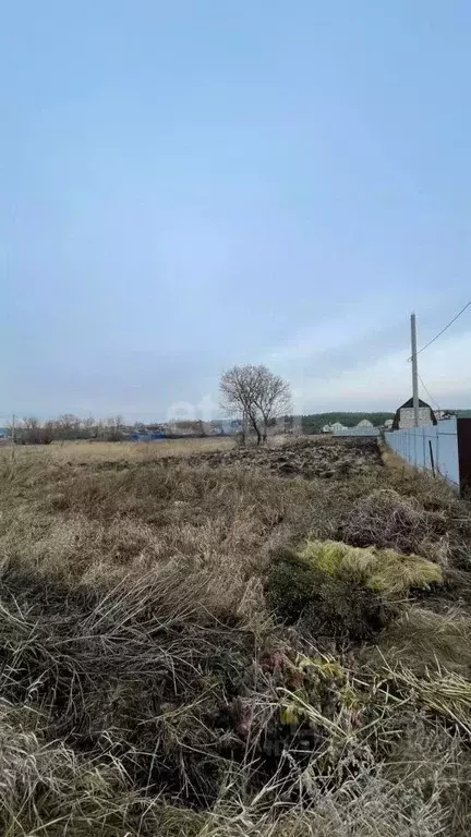 Участок в Курская область, Курский район, Моковский сельсовет, д. 2-я ... - Фото 1