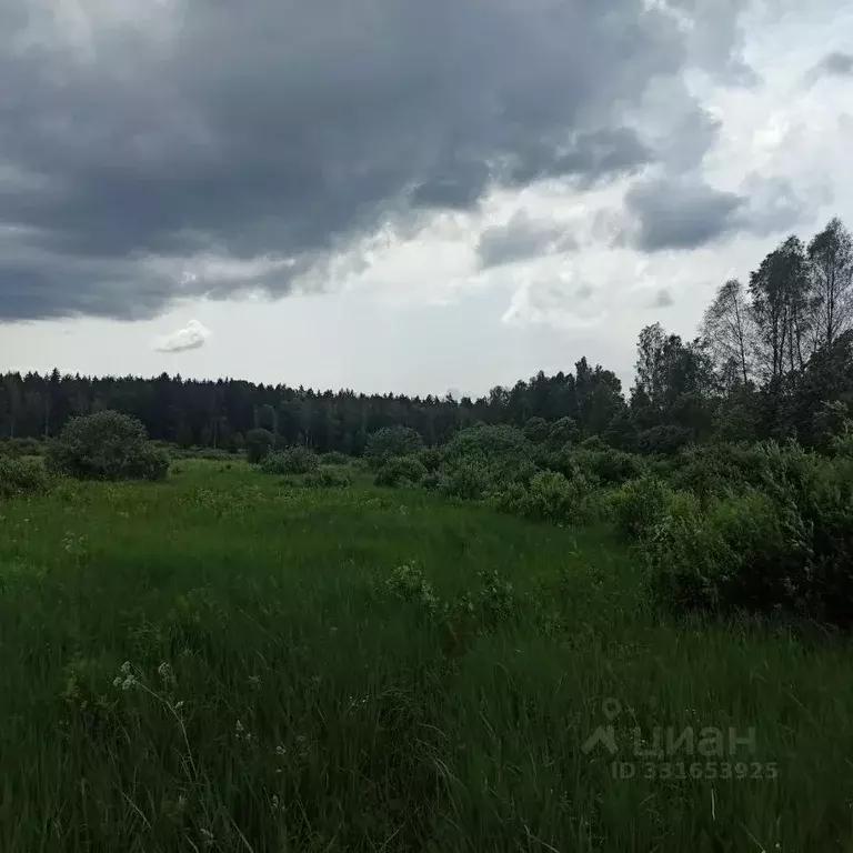 Участок в Московская область, Клин  (2.9 га.) - Фото 2