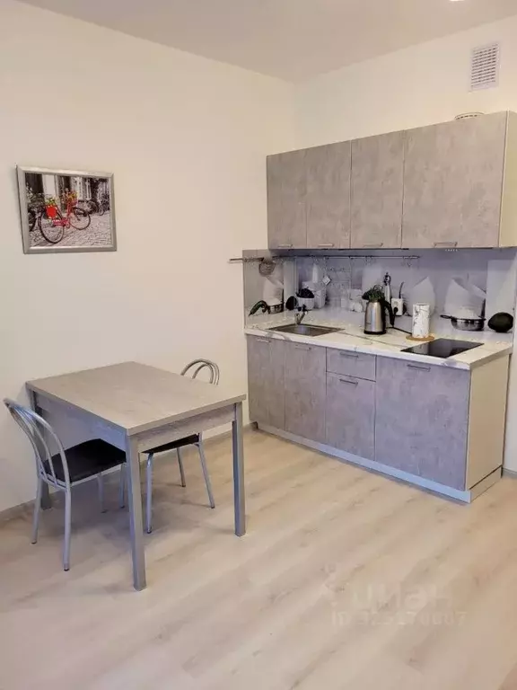 Студия Санкт-Петербург ул. Бабушкина, 53 (23.0 м) - Фото 1