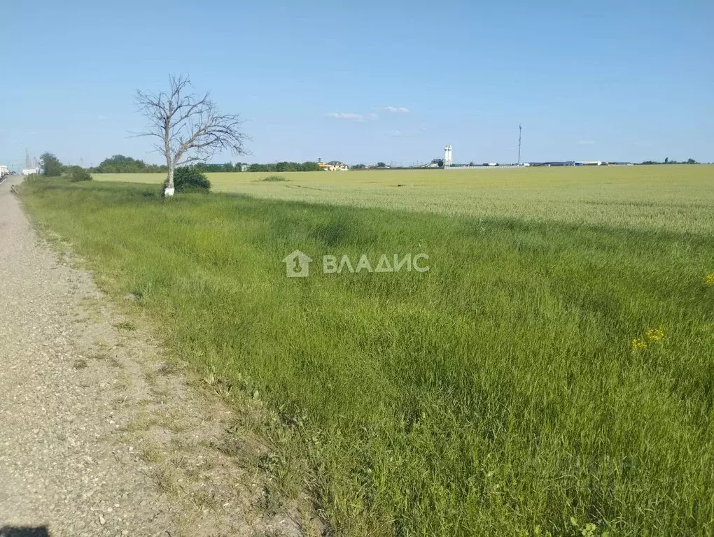 Участок в Краснодарский край, Северский район, Ильское городское ... - Фото 0