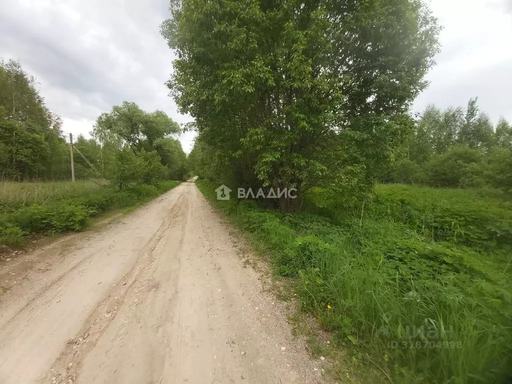 Участок в Владимирская область, Камешковский район, Вахромеевское ... - Фото 1