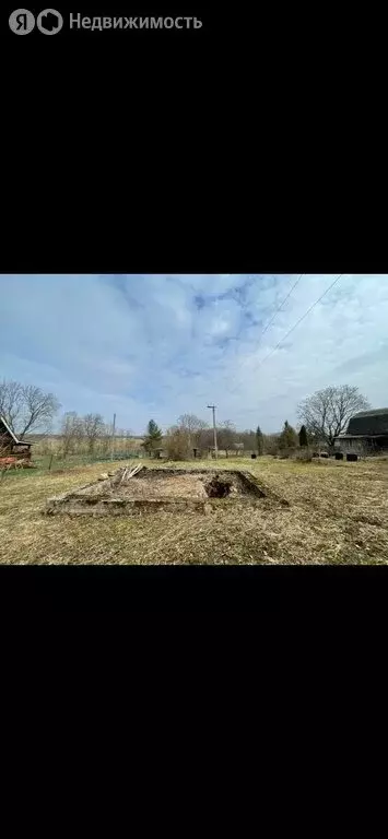 Дом в Скребловское сельское поселение, деревня Великое Село (49.5 м) - Фото 2