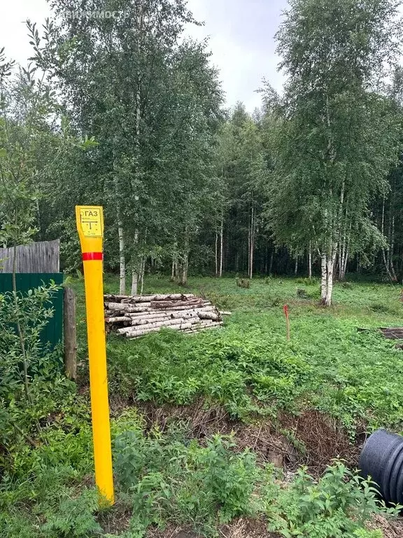 Участок в Киров, СДТ Марковское (15.7 м) - Фото 2