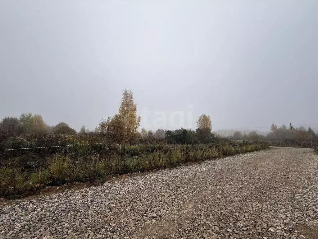 Участок в Костромская область, Кострома ул. Николая Тараканова, 5 ... - Фото 2