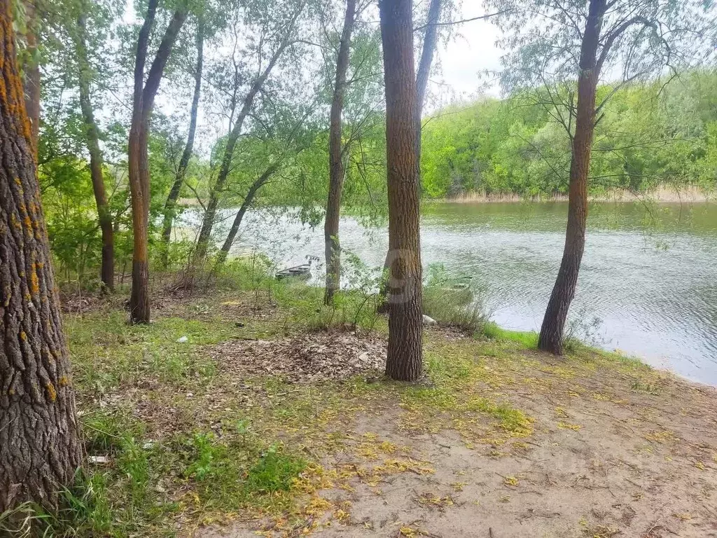 Участок в Воронежская область, Поворинский район, с. Пески Хоперская ... - Фото 1