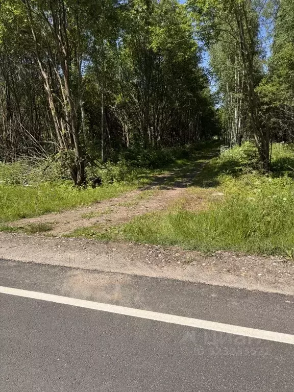 Участок в Ярославская область, Некоузский муниципальный округ, д. ... - Фото 1