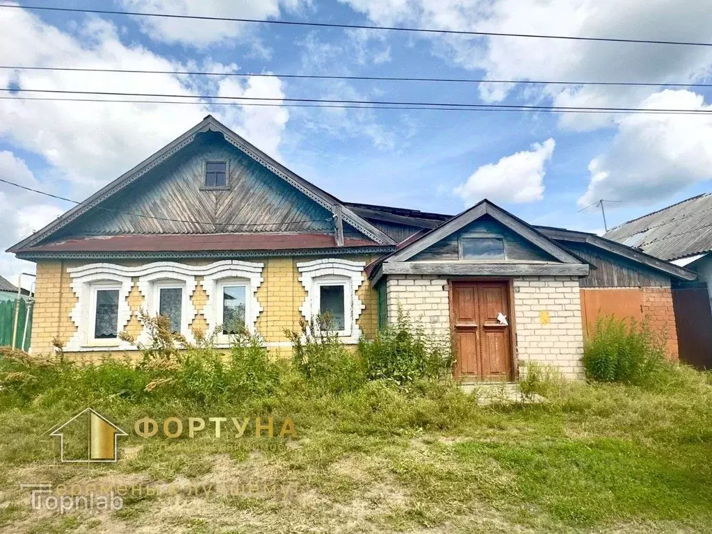 Дом в Нижегородская область, Бор ул. Белинского, 77 (69 м) - Фото 1