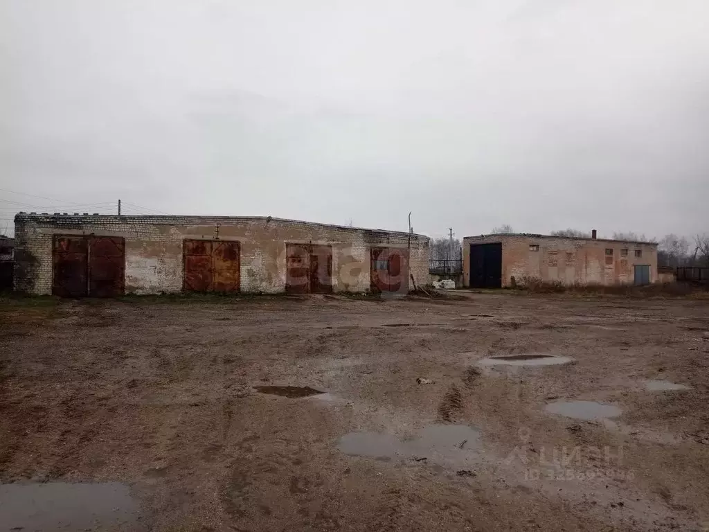 Склад в Липецкая область, Елецкий муниципальный округ, с. Казаки ул. ... - Фото 1
