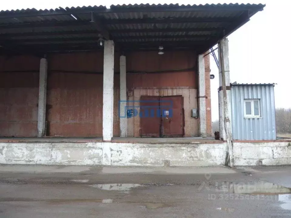 Склад в Курская область, Курский район, Ворошневский сельсовет, д. ... - Фото 1