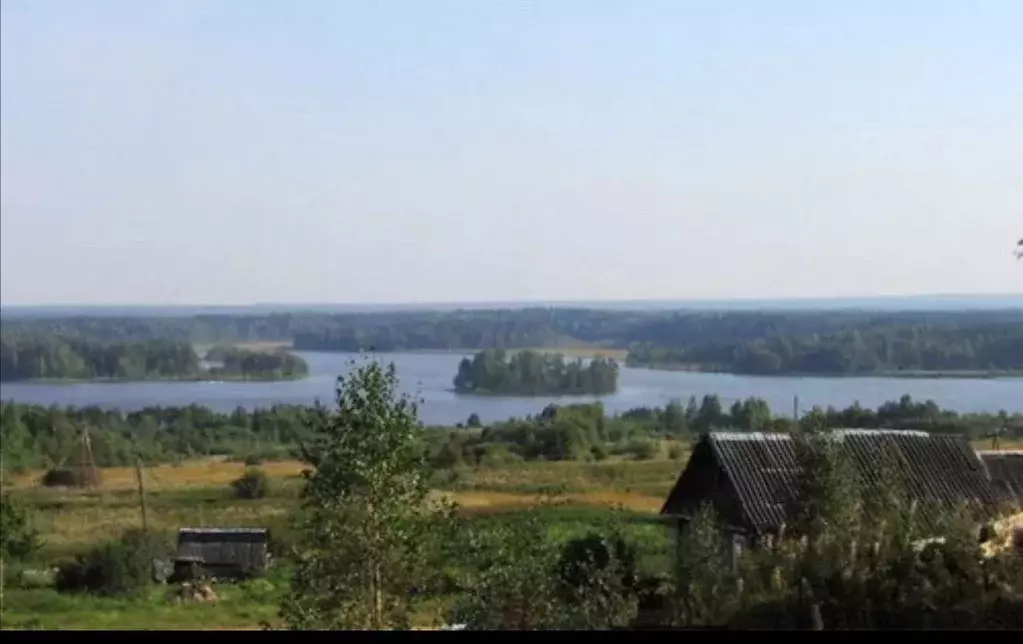 Участок в Новгородская область, Любытинское с/пос, д. Брод  (15.0 ... - Фото 0