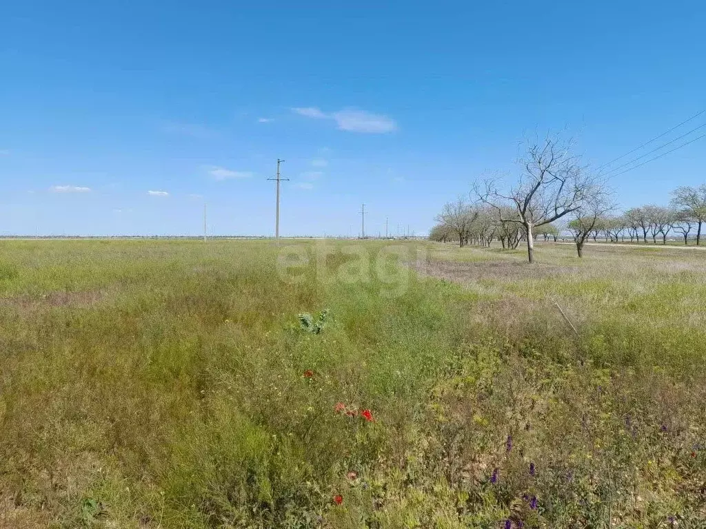 Участок в Крым, Сакский район, с. Молочное ул. Садовая (6.33 сот.) - Фото 1