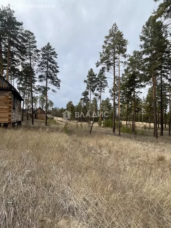 Участок в Улан-Удэ, 144-й микрорайон (8 м) - Фото 2