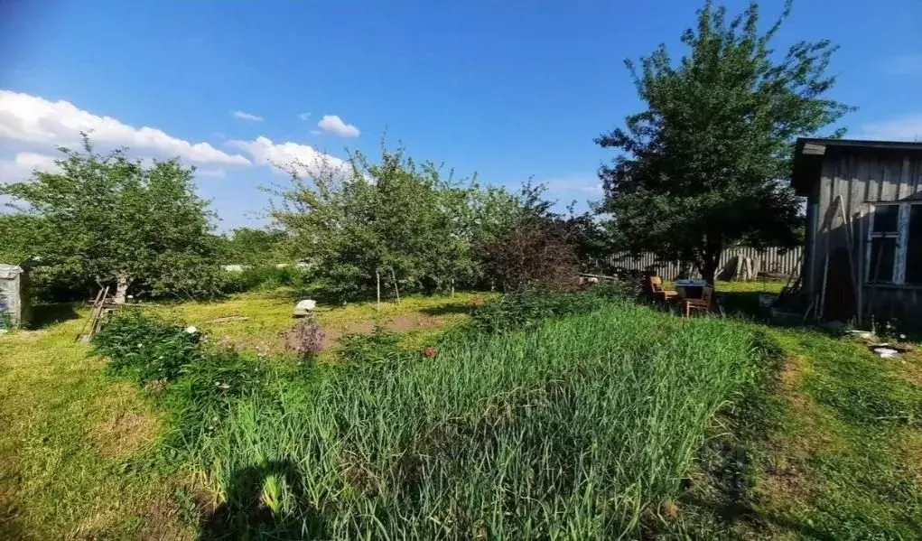 Дом в Брянская область, Брянский район, Супоневское с/пос, д. ... - Фото 2