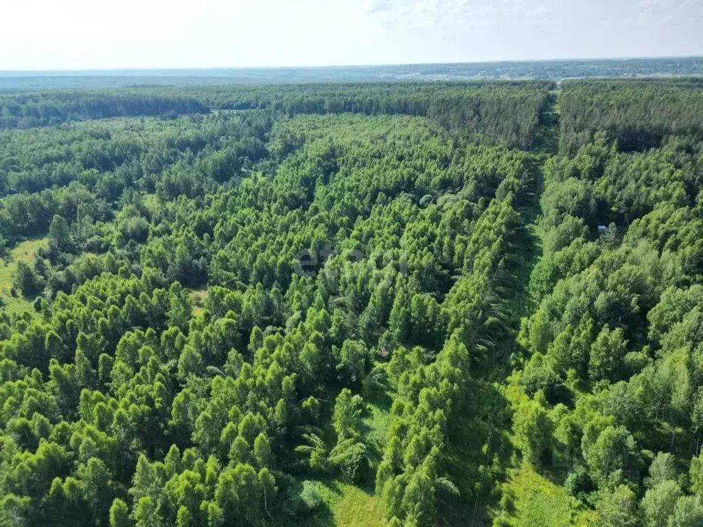 Участок в Нижегородская область, Богородский муниципальный округ, д. ... - Фото 1