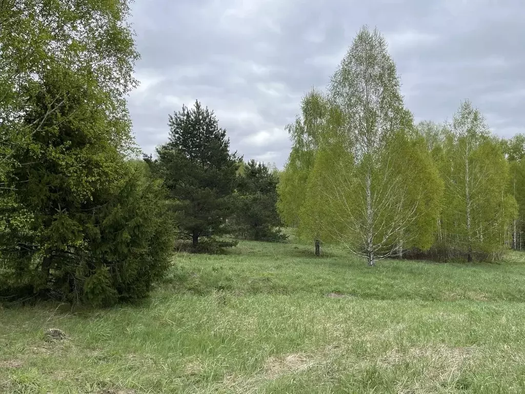 Участок в Новосибирская область, Искитимский район, с. Морозово ул. ... - Фото 1