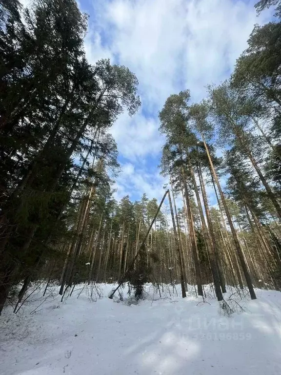Участок в Московская область, Орехово-Зуевский городской округ, пос. ... - Фото 1