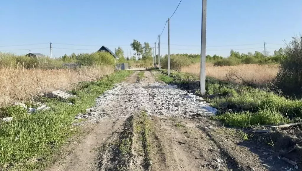 Участок 10 сот. (СНТ, ДНП) - Фото 0