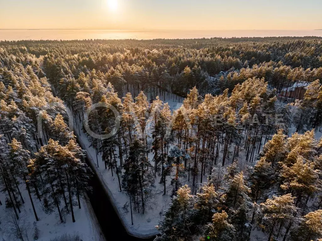 Участок в Санкт-Петербург пос. Комарово, просп. Лесной (35.0 сот.) - Фото 2