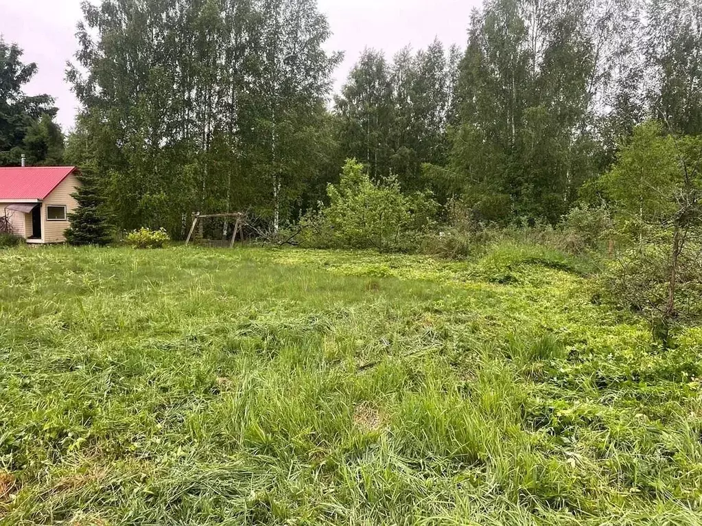 Участок в Владимирская область, Суздальский район, Новоалександровское ... - Фото 0
