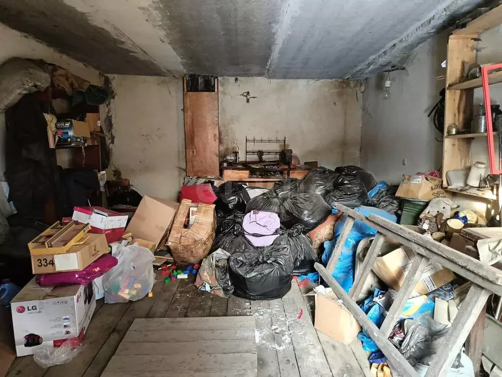 Гараж в Тамбовская область, Тамбов Андреевская ул. (23 м) - Фото 2