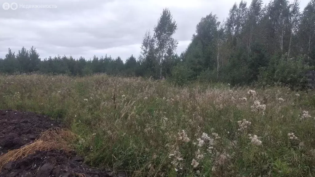 Участок в посёлок городского типа Верхнее Дуброво, улица Свободы (10 ... - Фото 0