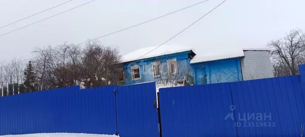 Дом в Челябинская область, Кыштым Карабашская ул. (45 м) - Фото 0
